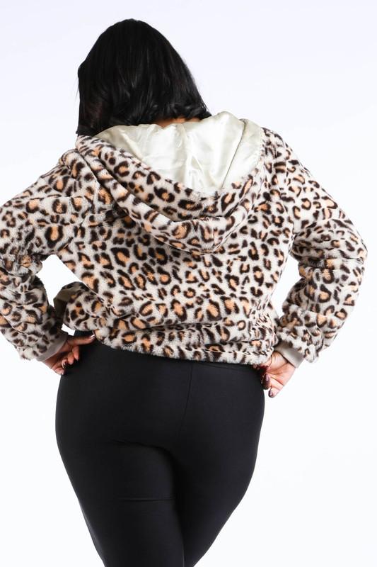 Cheetah Jacket - Ivy Reina
