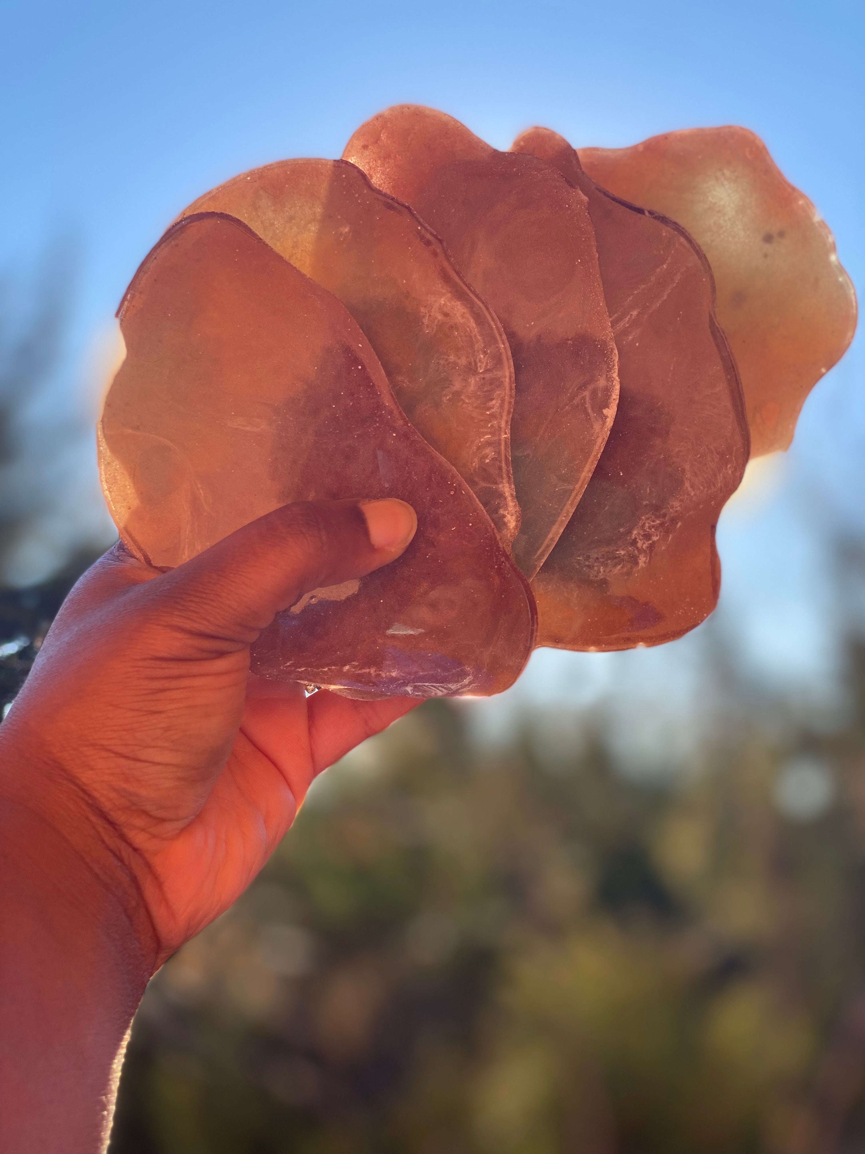 Sienna Love coaster set Hobbies & Creative Arts