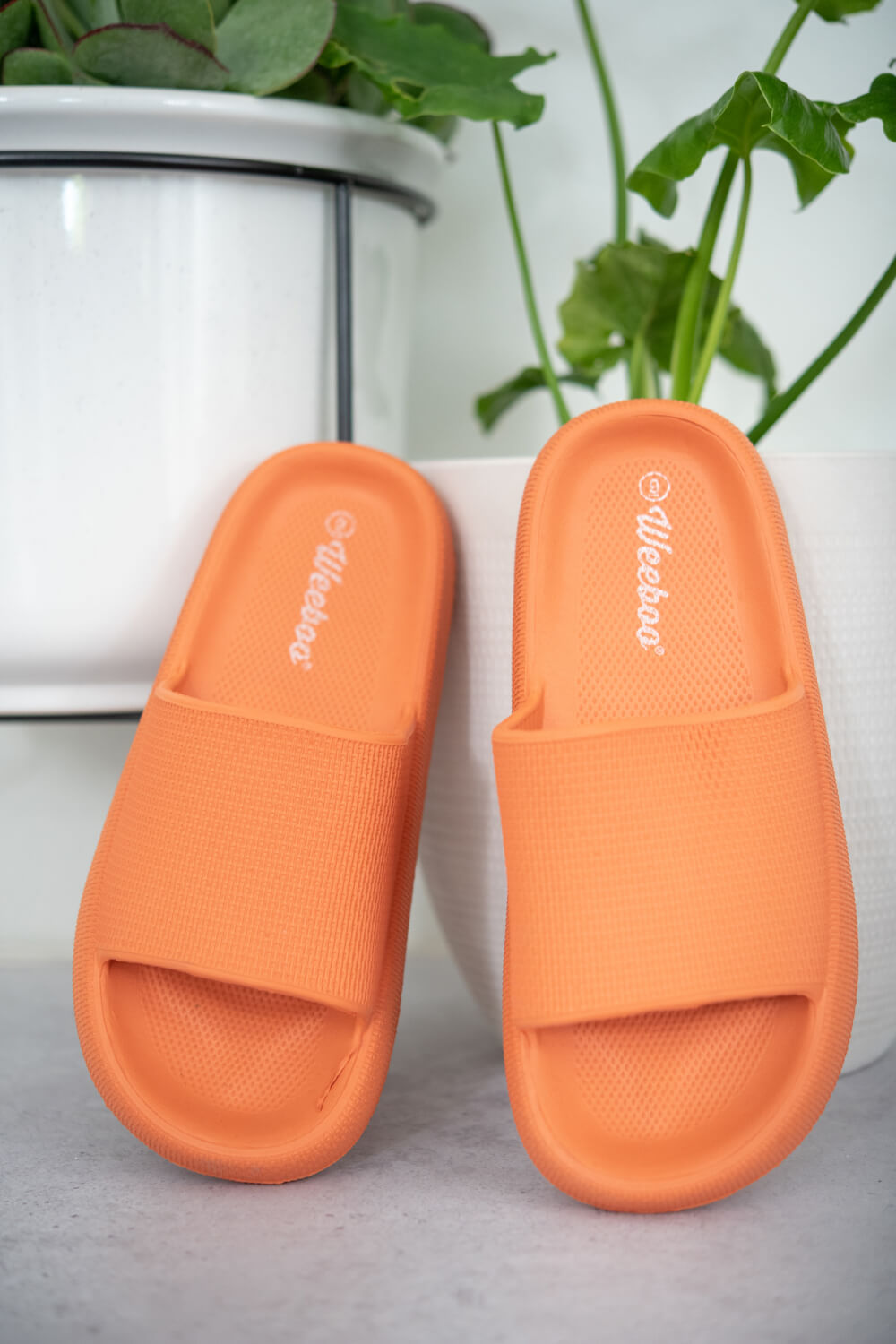 Slides