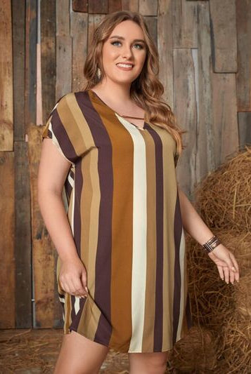 Sienna Plus Size Striped Short Sleeve Mini Dress Plus Size Clothing