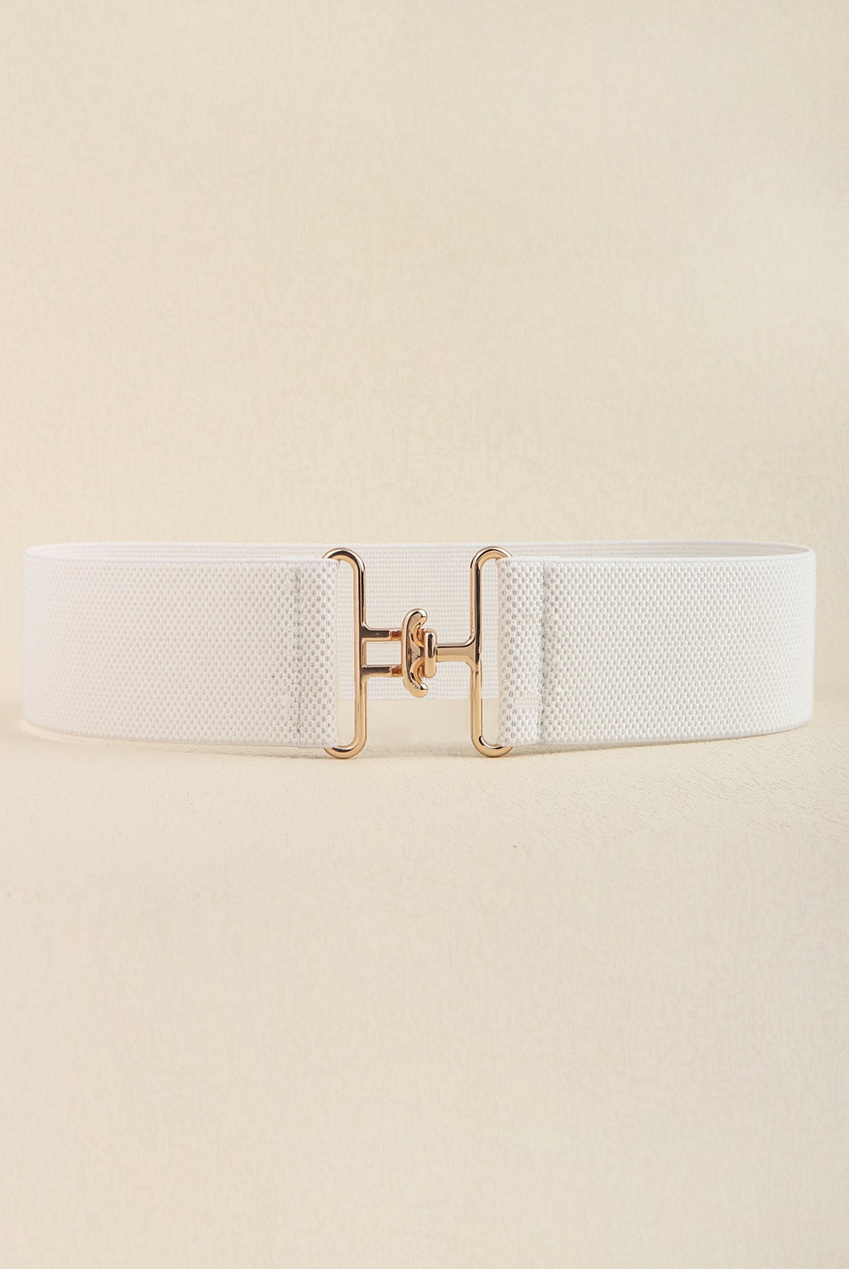 Light Gray Timeless Classic Elastic Wide Belt Belts
