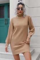 Rosy Brown Ribbed Turtle Neck Long Sleeve Mini Sweater Dress Clothing